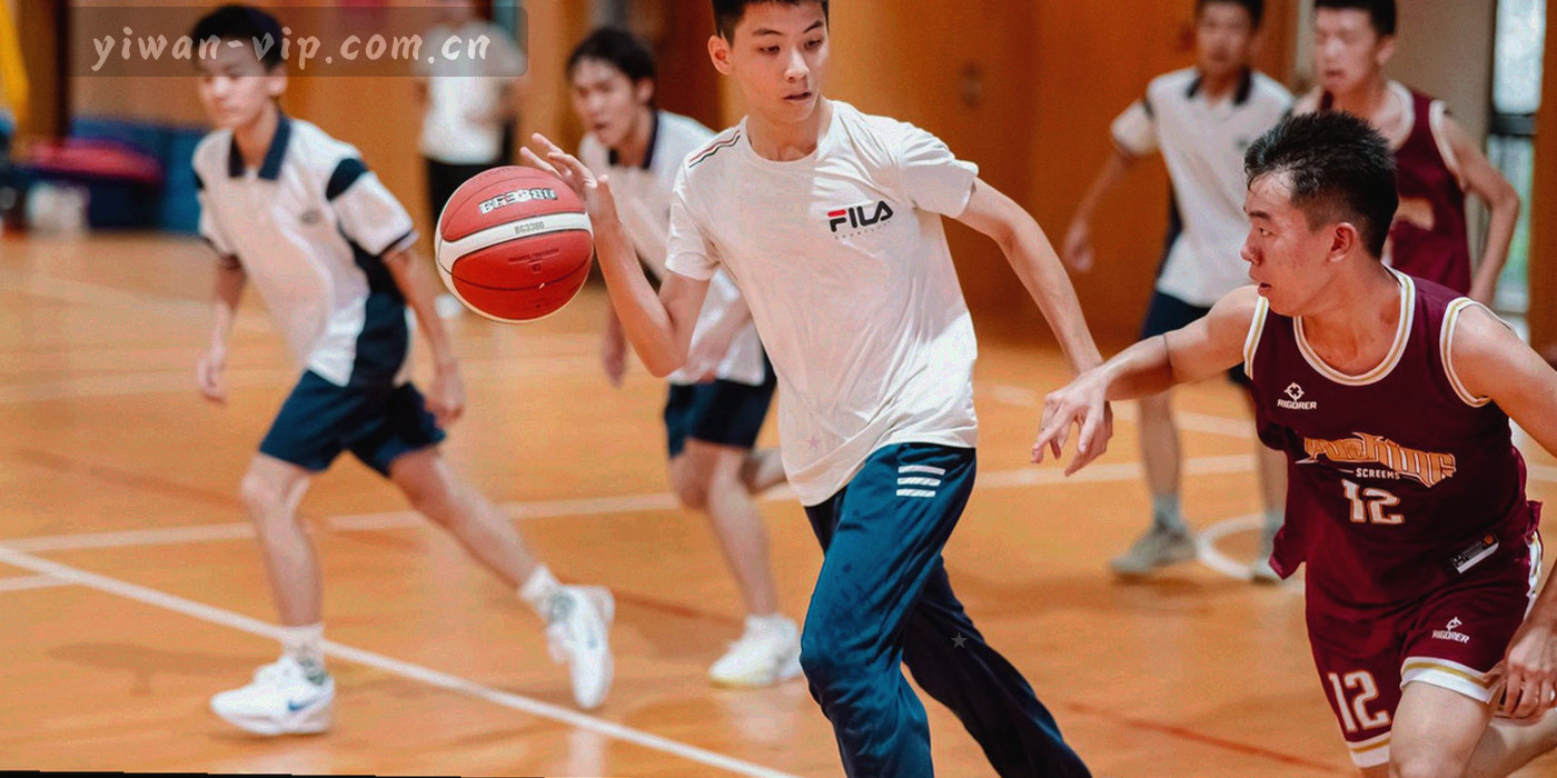 左侧横向时间轴与右侧标签网格并列的示意图，两条路线以鎏金箭头标注